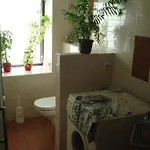 Apartment Auris Cranzahl