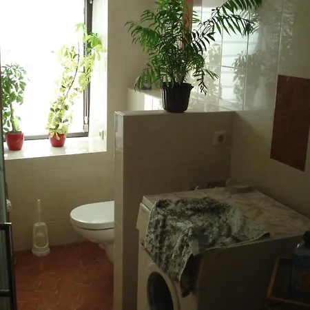 Appartement Auris Cranzahl