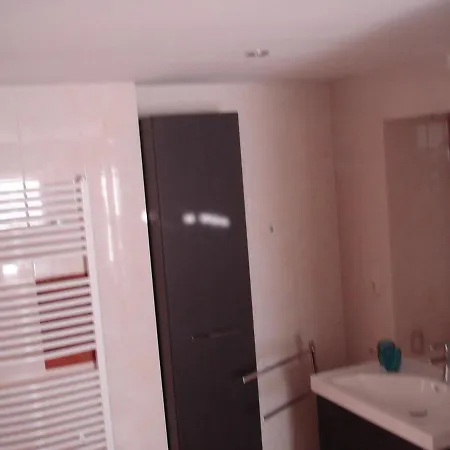 Auris Apartment Cranzahl
