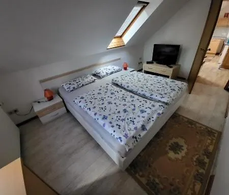 Apartment Auris Cranzahl